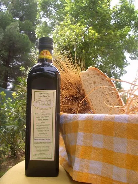 Agriturismo Lupo Vecchio Grosseto 0*,